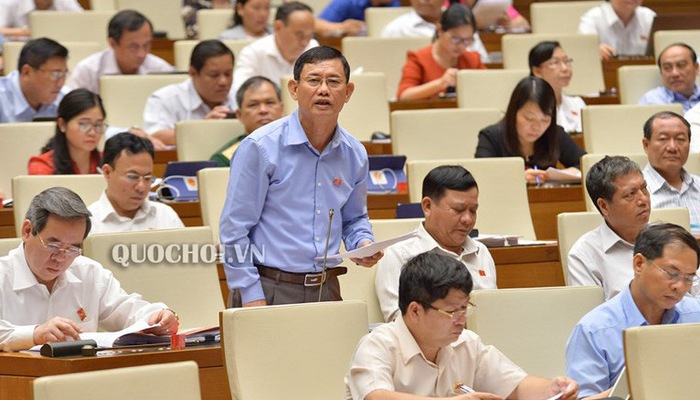 Đai biểu Nguyễn Ngọc Phương phát biểu tại phiên giám sát.    