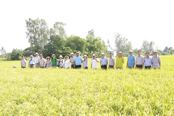 Lộc Trời đang chuyển hướng sang kinh doanh gạo từ thuốc bảo vệ thực vật vì bị cạnh tranh lớn từ Trung Quốc. Dù vậy, hiện tại mảng gạo chưa đóng góp đáng kể vào lợi nhuận của tập đoàn.
