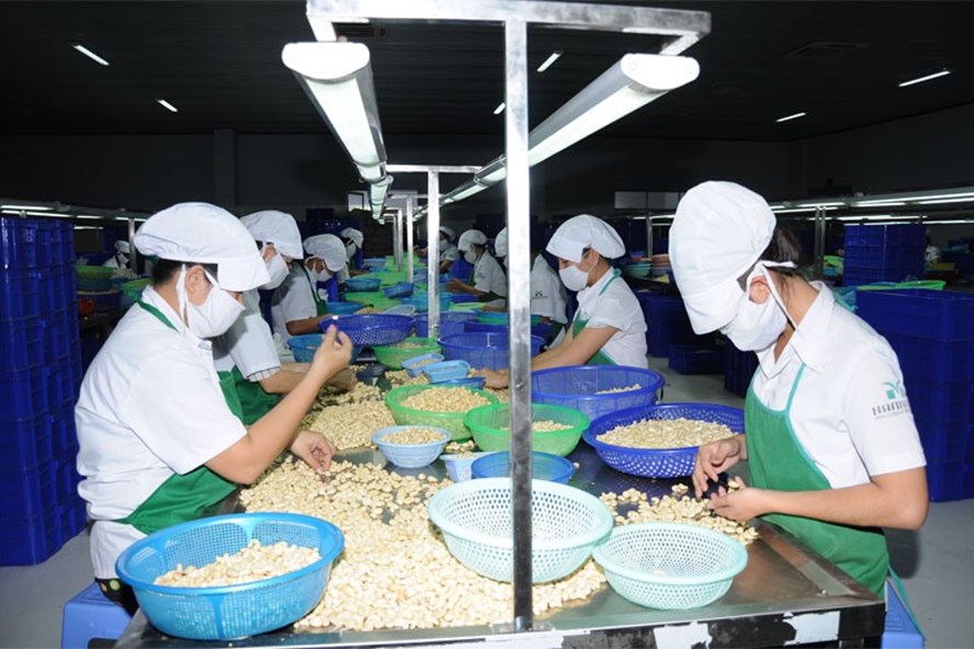 Nhiều mặt hàng nông sản của Việt Nam được thị trường EU đón nhận. Ảnh: C.H.    