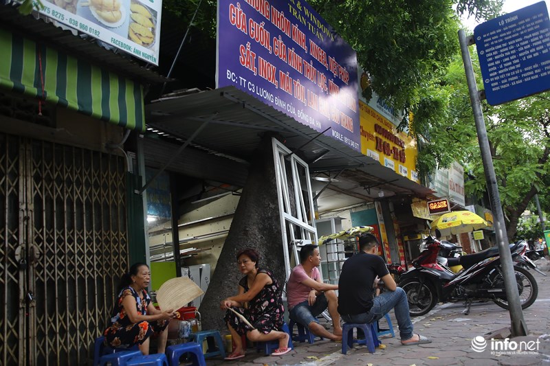 Được biết, những ngày mưa gió người dân thường tự tỉa bớt cành lá để tránh mưa to gió lớn cây gãy vào nhà.    