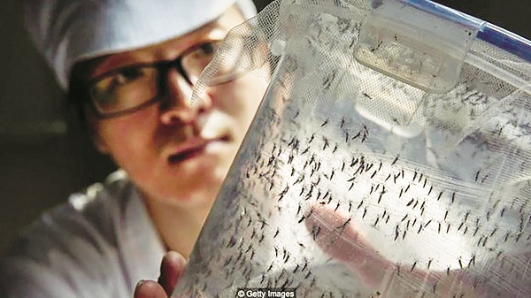 Cùng với các dịch bệnh SARS, Ebola và Zika, sốt rét cũng là mối hiểm họa của nhân loại, nhất là khi thuốc đặc trị đã bị lờn.