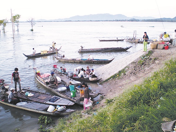 Không khí đánh bắt cá linh mùa nước nổi tại An Giang cách nay vài ba năm.