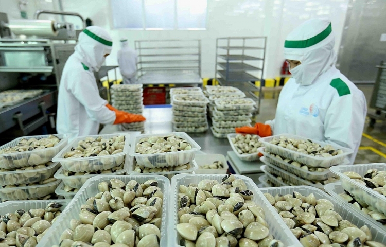 Ngao trắng, ngao hoa và ngao lụa Việt Nam được “mở cửa” vào thị trường Trung Quốc   