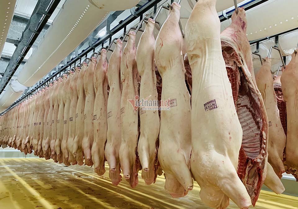 Không đến mức khủng hoảng, nhưng giá thịt lợn được dự báo sẽ tăng cao trong dịp Tết