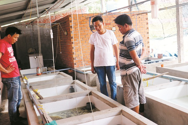 Anh Nguyễn Thanh Tân (áo trắng) và khách tham quan mô hình nuôi lươn giống.