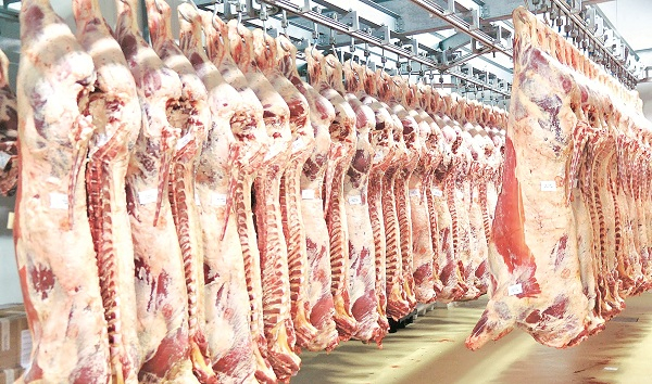 Ông Nguyễn Xuân Dương - quyền Cục trưởng Cục Chăn nuôi cho rằng, ngành chăn nuôi đang đẩy nhanh kế hoạch tái đàn để tăng nguồn thịt heo, đồng thời tăng cung nguồn thịt thay thế (gà, bò…), để bảo đảm nhu cầu thịt dịp Tết. Nhập thịt chỉ là giải pháp cuối cùng.