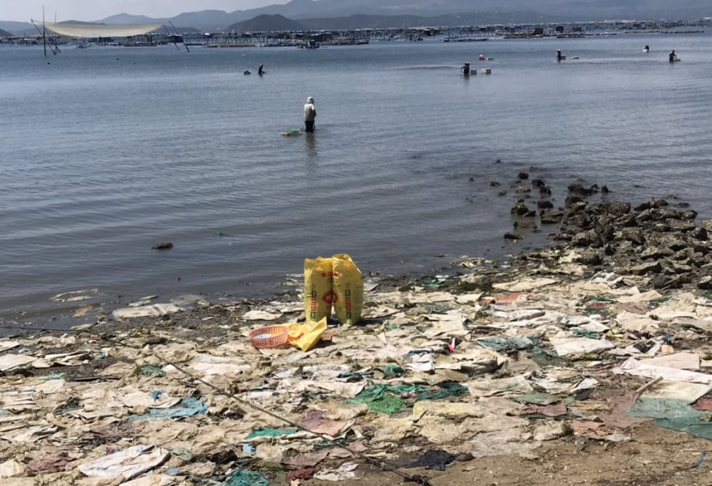 Dù đã nhiều lần thu dọn nhưng chỉ sau ít ngày, rác lại phủ kín bờ biển.