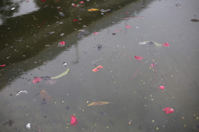 Trên mặt nước lềnh bềnh tàn tro, hoa cúc, giấy tiền vàng.