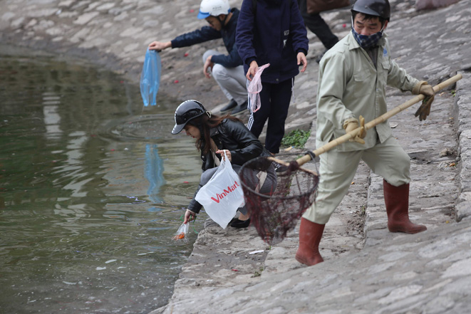 Một công nhân môi trường liên tục phải đi vớt rác, tro, chân hương cùng với cá vàng chết nổi lên mặt hồ.