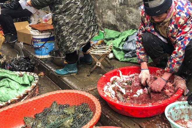 Một người đàn ông đang làm cá tại chợ ở Vũ Hán hôm 5/1. Trung Quốc đã áp đặt lệnh chấm buôn bán động vật hoang dã bắt đầu từ ngày 26/1. Ảnh: SCMP.