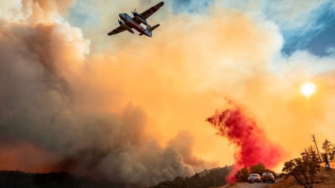 Tính đến ngày 24/8, có 585 đám cháy bùng phát ở California. Ảnh: Getty Images.  