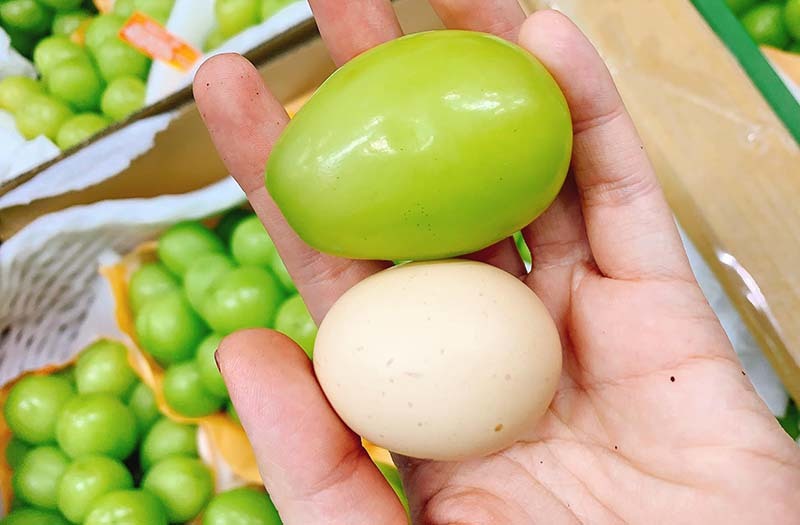 Vừa xuất hiện trên thị trường, loại nho có quả to gấp rưỡi quả trứng gà lập tức gây sốt   