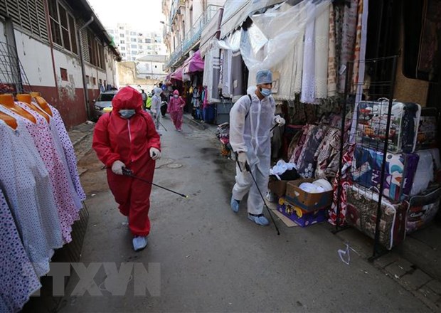 Phun thuốc khử trùng nhằm ngăn chặn sự lây lan của COVID-19 tại Algiers, Algeria, ngày 16/11/2020. (Ảnh: THX/ TTXVN)