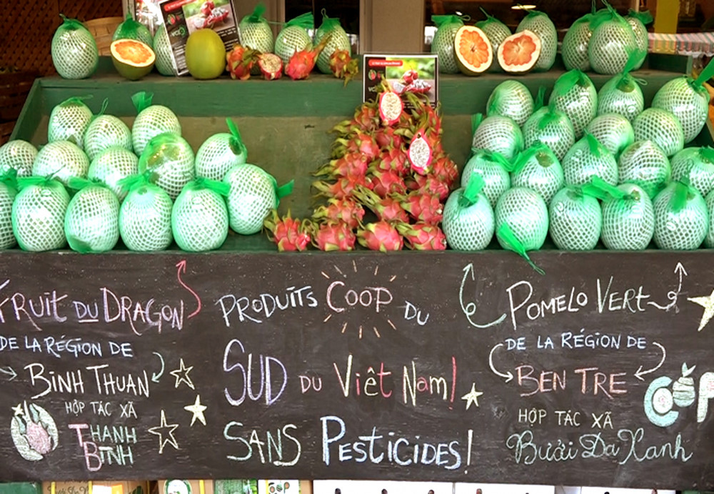 Thông tin trái bưởi, thanh long Việt Nam bán trong một siêu thị tại Canada được dịch sang nhiều ngôn ngữ khác nhau  