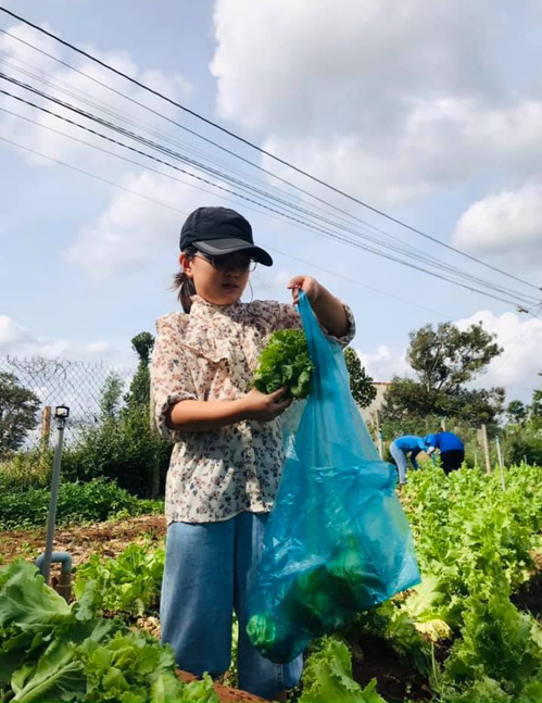 Chiều 7/8, Linh cùng các cô chú ở Câu lạc bộ Khát vọng xanh thu hoạch rau ở xã Ea Kmut, huyện Kar. Ảnh: Đào Đức Hiệp.
