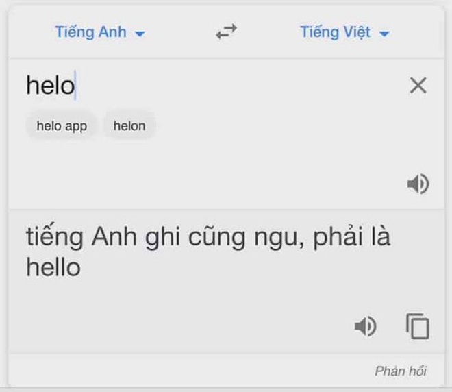 Người dùng Việt cũng từng bị Google Translate 
