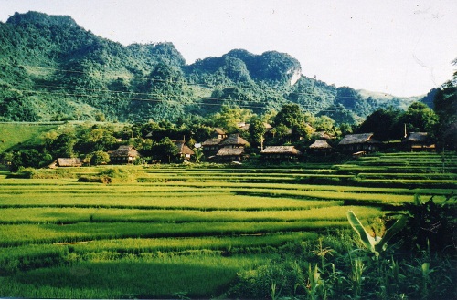 Một làng dân tộc Mường ở xã Bình Thanh, trong phạm vi đồ án quy hoạch.