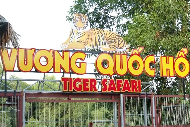 Khu sinh thái Mường Thanh Diễn Lâm yêu cầu trả 20 triệu/ngày chi phí nuôi hổ.