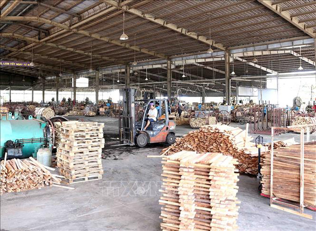 Sản xuất ván gỗ xuất khẩu từ nguyên liệu rừng trồng cây gỗ lớn tại nhà máy của Công ty Cổ phần Trường Phát (Tập đoàn Công nghiệp Cao su Việt Nam) trong khu công nghiệp Phước Hòa, huyện Phú Giáo (Bình Dương). Ảnh: Vũ Sinh/TTXVN
