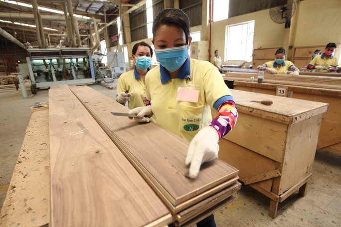 Nhiều doanh nghiệp gỗ có nguy cơ không đáp ứng được đơn hàng xuất khẩu vì sản xuất bị đình trệ do dịch. Ảnh: NGUYỄN HẢI