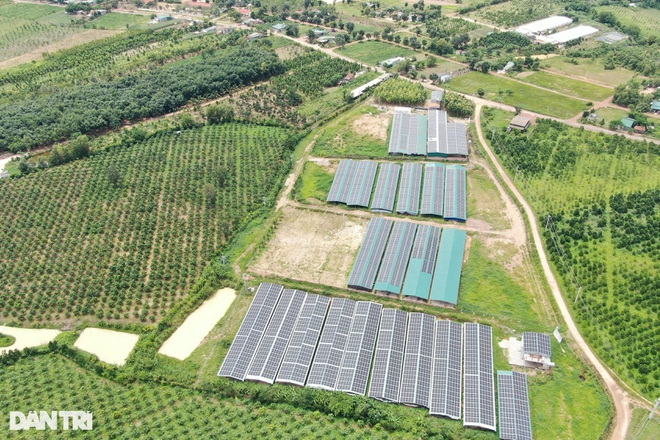 Công trình điện mặt trời mái nhà của ông Lê Ngọc Anh tại huyện Cư Jút (Ảnh: Đặng Dương).