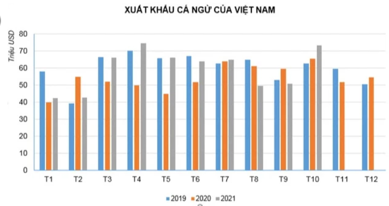 Xuất khẩu cá ngừ của Việt Nam có tín hiệu hồi phục (Nguồn: VASEP)