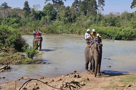 Khách du lịch cưỡi voi vượt sông