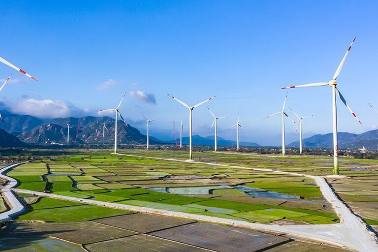 Nhà máy điện gió Trung Nam Ninh Thuận. Ảnh: TNG