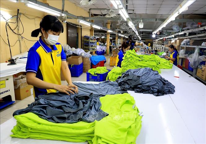 Công nhân dệt may tại Công ty CP May mặc Dony, huyện Bình Chánh, TP Hồ Chí Minh. Ảnh minh họa: Hồng Đạt/TTXVN  