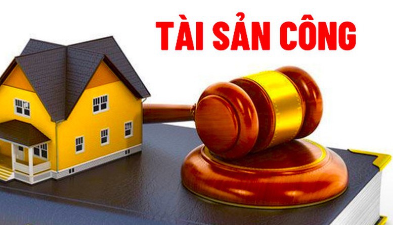 Bán tài sản công theo hình thức đấu giá như thế nào?- Ảnh 1.