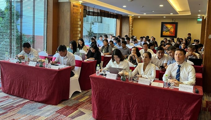 Ủy ban Cạnh tranh Quốc gia, Bộ Công thương đã tổ chức Hội nghị tập huấn quy định mới của Luật BVQLNTD (sửa đổi) khu vực miền Nam vào tháng 11/2024. (Nguồn: Vicopro).