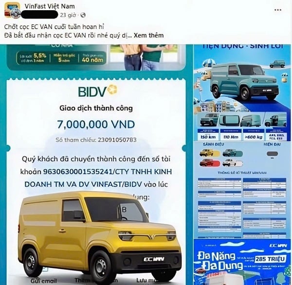 HIINH VIN 1