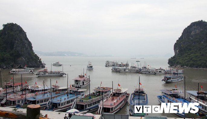 Tàu du lịch Trang Linh QN – 6419 bị chấm dứt hoạt động vận chuyển khách du lịch trên Vịnh Hạ Long và Vịnh Bái Tử Long.