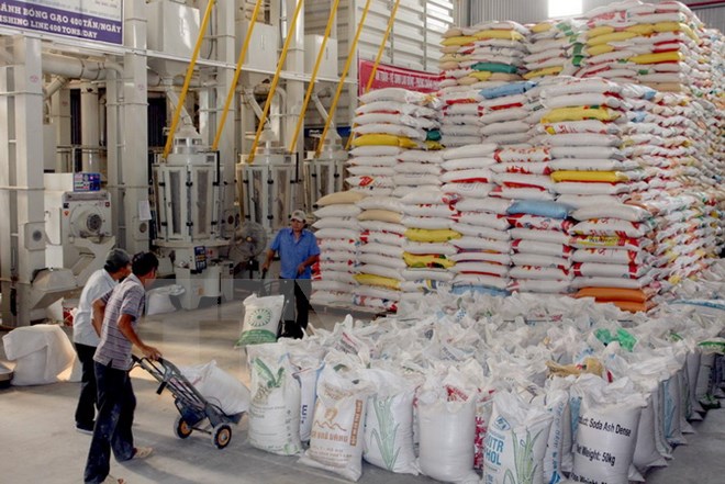 Xuất khẩu gạo Việt Nam đang có những bước phát triển tích cực trong năm 2018