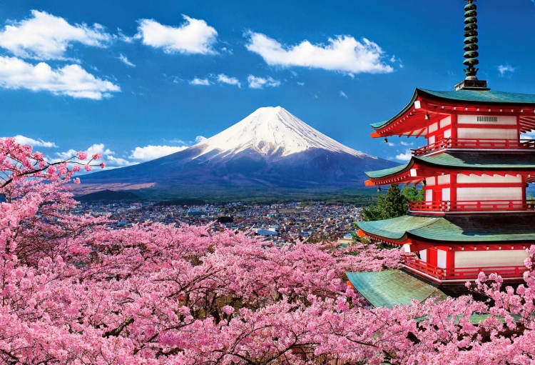Nhật Bản, một trong những địa điểm du lịch mà khách Việt ưa chuộng trong thời gian qua