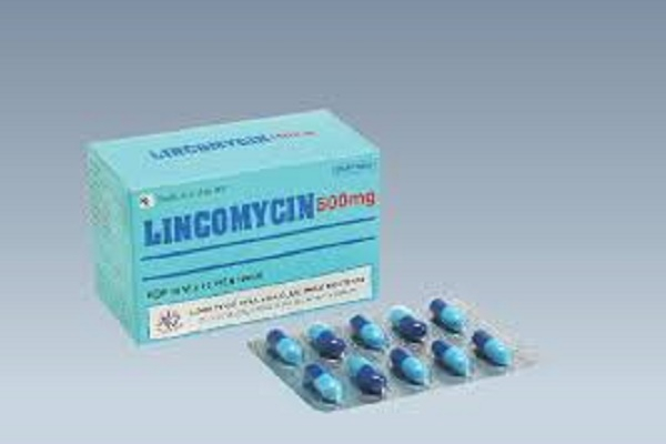Thuốc Lincomycin 500mg (ảnh minh họa)