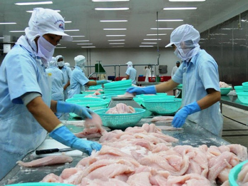 Mỹ từ chối nhập khẩu cá tra hun khói của Việt Nam. Ảnh: Báo Hải quan