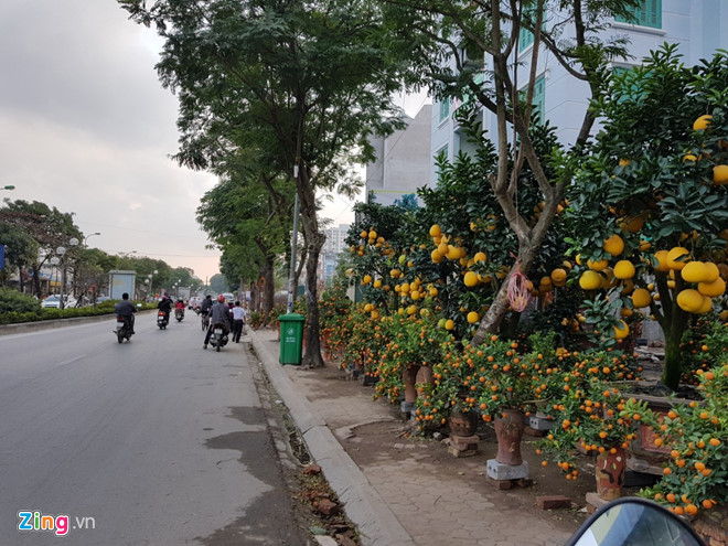 Toàn bộ diện tích điểm kinh doanh đã được thuê hết. Ảnh: Hiếu Công.