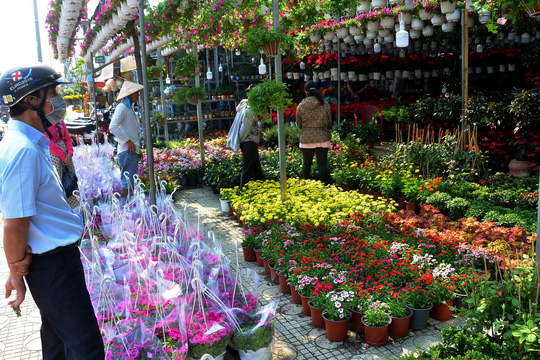 Nhiều loại hoa, kiểng Tết được bày bán ở khu Bắc Hải, Thành Thái (quận 10, TP HCM)  Ảnh: TẤN THẠNH