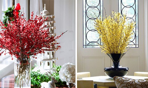 Hoa đông đào (trái) và hoa mai Mỹ (phải) được nhiều người ưa thích vì có màu sắc rực rỡ, đem lại cảm giác tươi vui cho ngôi nhà dịp năm mới. Ảnh: Pinterest.