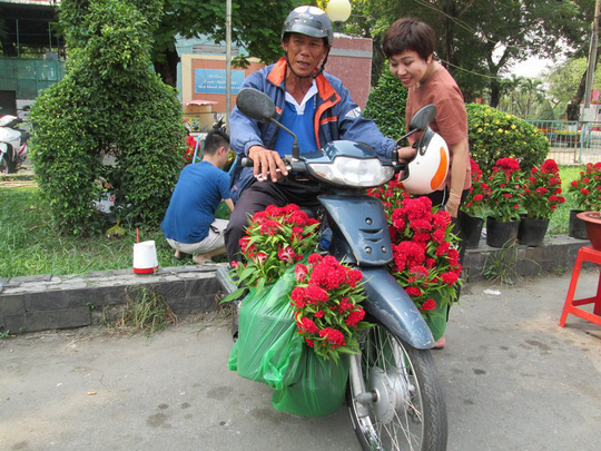 Hoa mào gà có giá 40.000 đồng/chậu, người đàn ông này mua một lúc 6 chậu