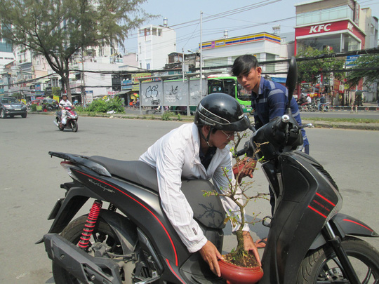 2 chậu mai nhỏ để vừa trên bàn có nụ vừa Tết giá chỉ hơn 200.000 đồng được người đàn ông này quyết định mua rất nhanh