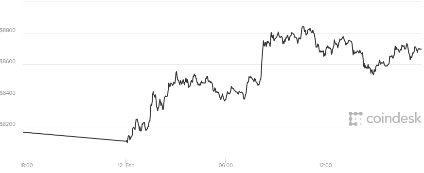 Giá bitcoin hôm nay 13/2 đang đứng vững trên mức 8.600 USD