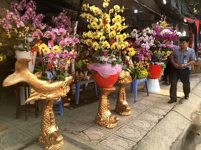 Ngoài sản phẩm trong nước, dịp Tết, hoa lan còn được nhập nhiều từ Thái Lan, Đài Loan…