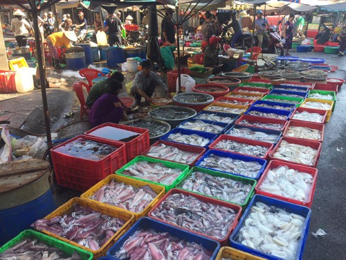 Hàng thủy sản dồi dào sau Tết ở TP HCM Ảnh: Nguyễn Hải