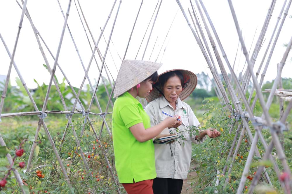 Khánh Trang thảo luận cùng quản lý mạng lưới hộ dân tại vườn rau