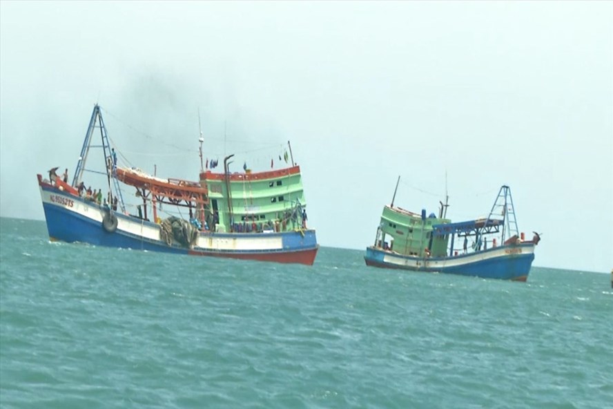  Hai tàu giã cào Kiên Giang bị cơ quan chức năng tỉnh Quảng Trị truy bắt vì khai thác thủy sản tận diệt. Ảnh: HT 