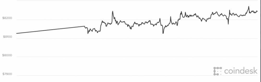 Giá Bitcoin hôm nay 20/4: Cơ hội nào để tăng lên 20.000 USD?