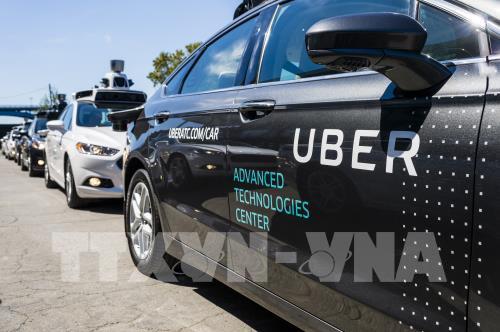 Các mẫu xe tự lái của Uber. Ảnh: AFP/TTXVN