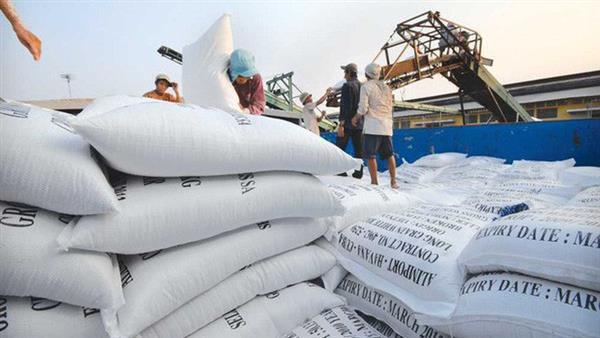  Cả năm nay, dự kiến xuất khẩu gạo đạt 6,5 triệu tấn. Ảnh: Internet 